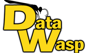 Data Wasp Logo